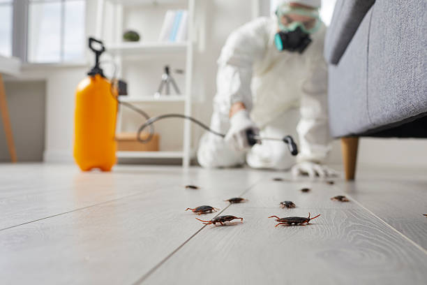 Trusted Emergency Pest Control service in Quakertown, PA - Nex Pest Control
