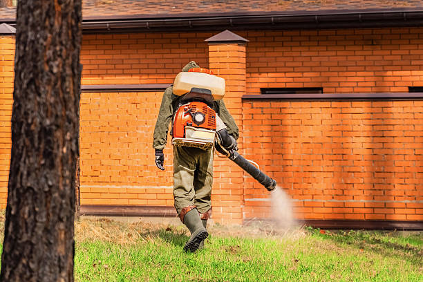 Trusted Termite Control service in Quakertown, PA - Nex Pest Control
